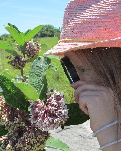 summer camper uses magnifying glass to study insects at Tommy Thompson Park