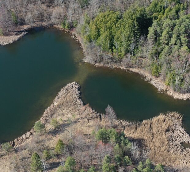 TRCA Acquires 63 Hectares of Land Near Albion Hills Conservation Park