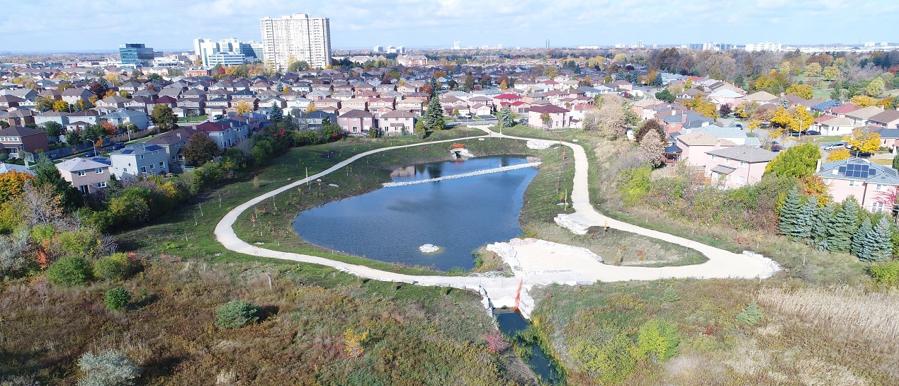 previously fenced-off dry pond in County Court neighbourhood features a walking trail and naturalization plantings