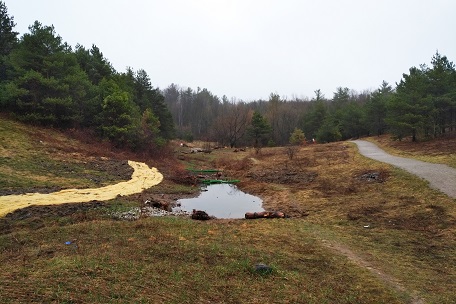 restoration of Bayview wetlands area underway in Oak Ridges Corridor Conservation Reserve