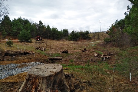 restoration of Bayview wetlands area underway in Oak Ridges Corridor Conservation Reserve