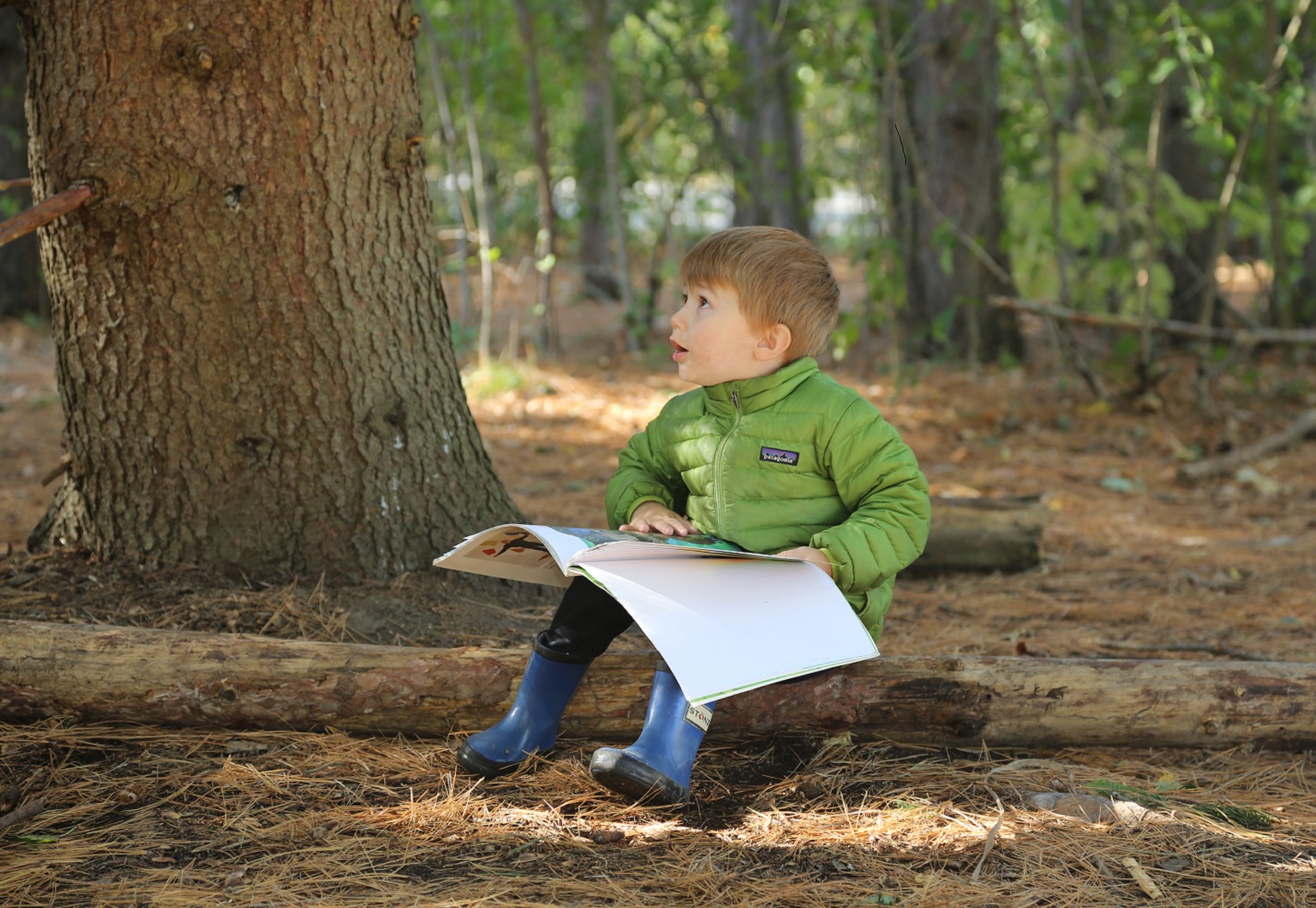 young student takes part in The Nature School PA Day camp at Claireville Conservation Area