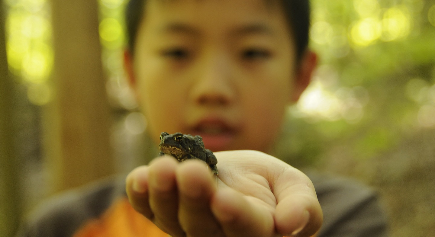 elementary school student enjoys PA day outdoor camp experience at Claremont Nature Centre
