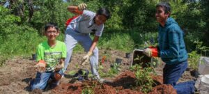 Toronto Conservation Youth Corps - Fall Planting at Sherway Trail @ Sherway Trail