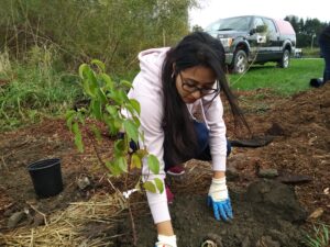 Toronto Conservation Youth Corps - Fall Planting at Sherway Trail @ Sherway Trail