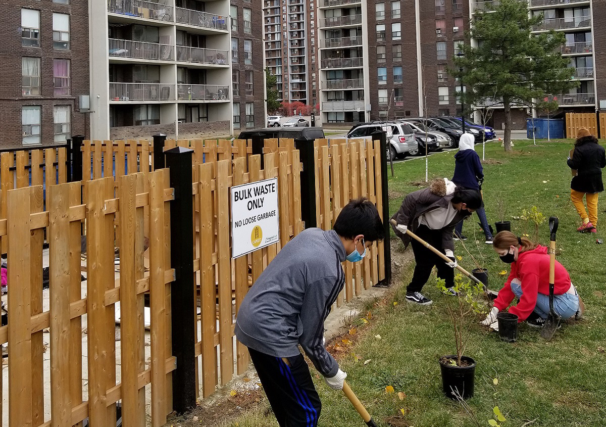 Bramalea SNAP neighbourhood residents take part in Project Crossroads community planting event