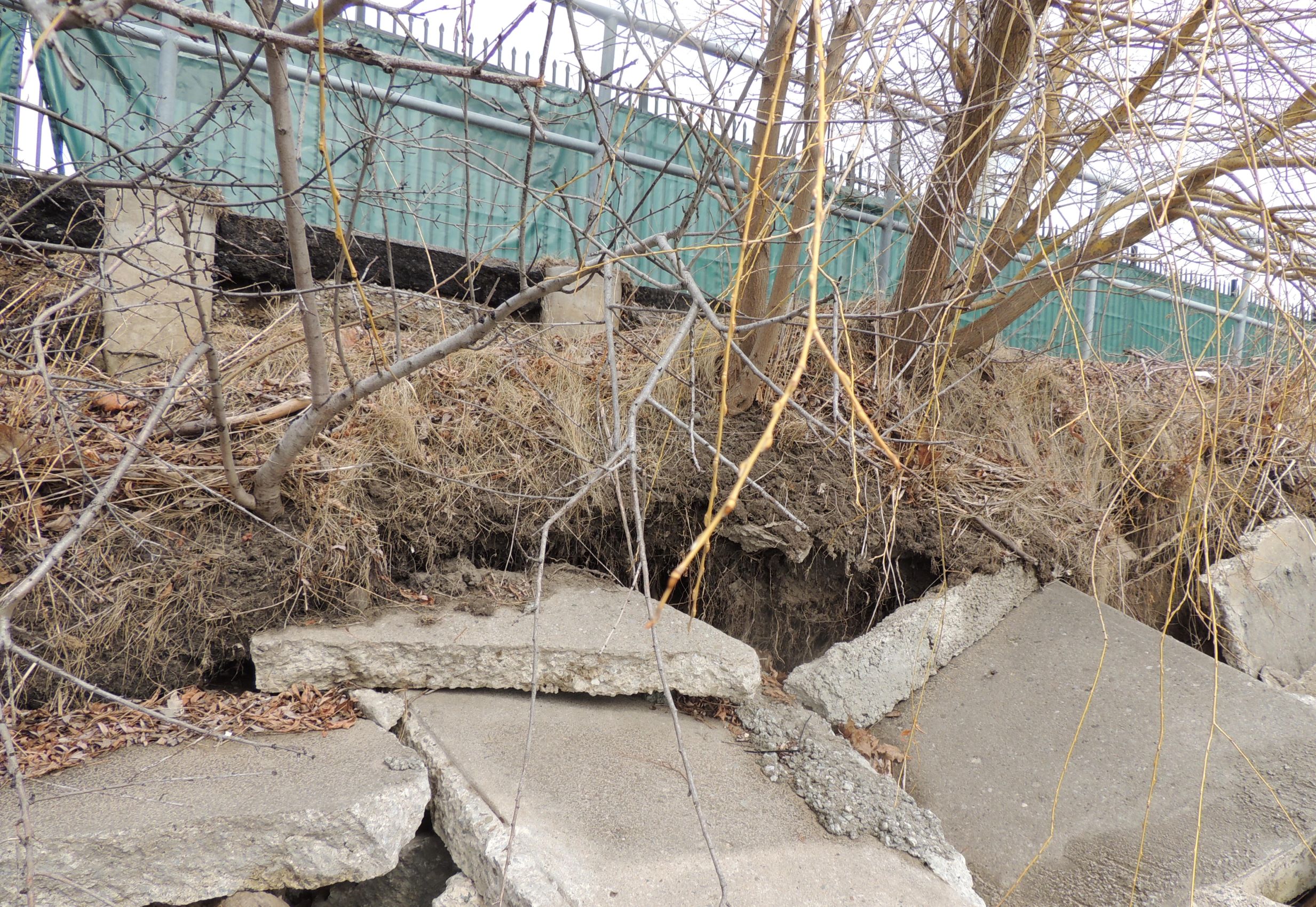 Photo of displacement of the concrete slabs and backshore erosion at the west section of the Project Area