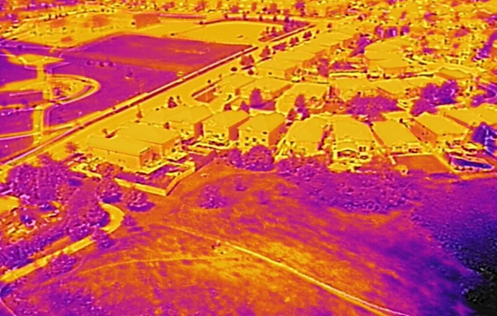 Temperature Check Using Thermal Imaging to Assess Forest Health