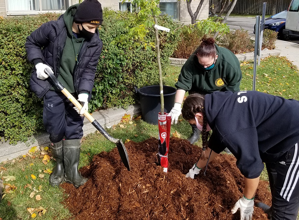 Bramalea SNAP community residents take part in local tree planting event