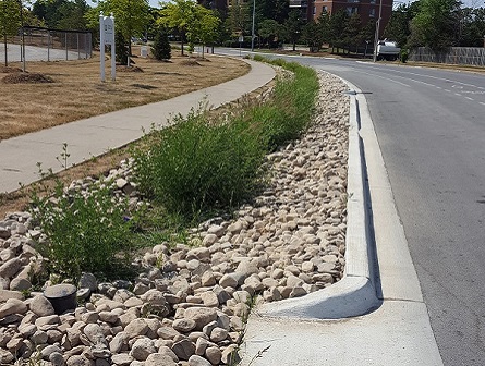 bioswale