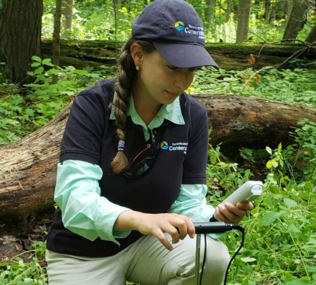TRCA Biologists Share Their 2021 Biodiversity Field Finds!