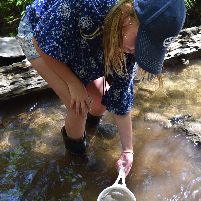 summer camper at Albion Hills Field Centre uses dip net to search for aquatic life in local stream