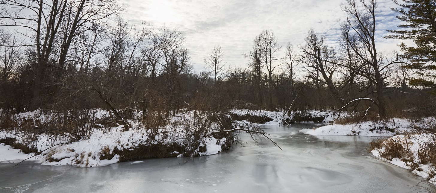 winter ice covers a stream at Kortright Centre for Conservation