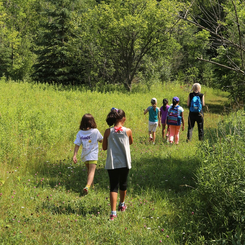 summer campers go for a hike at Claremont Nature Centre