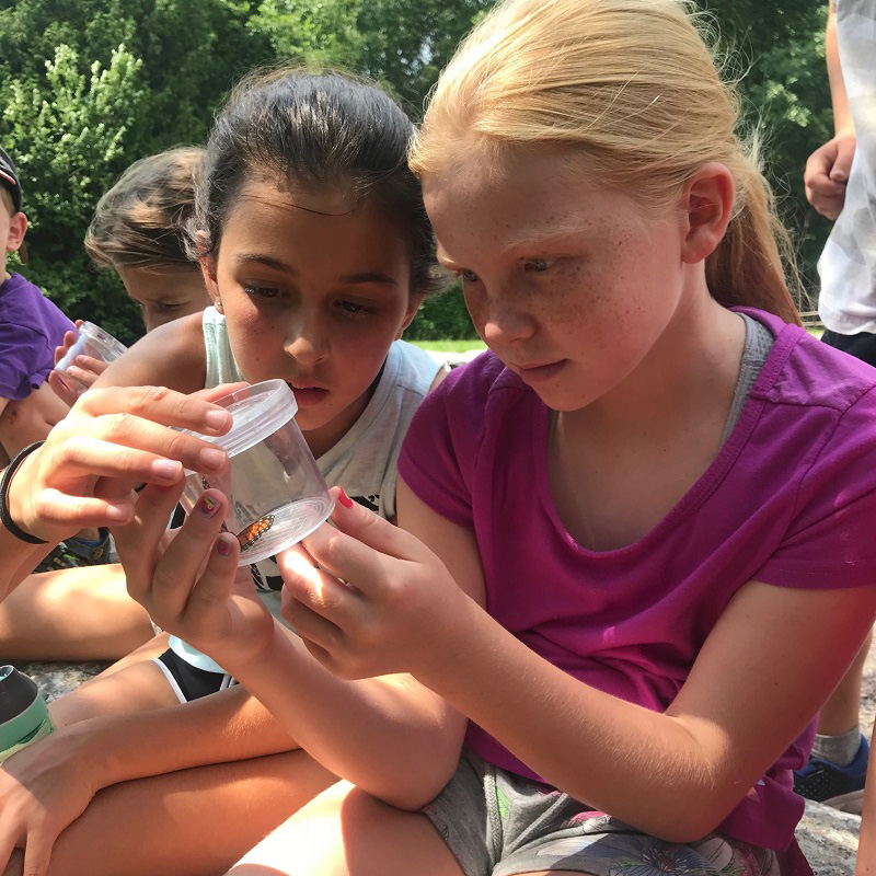 summer campers examine monarch butterfly at Claremont Nature Centre