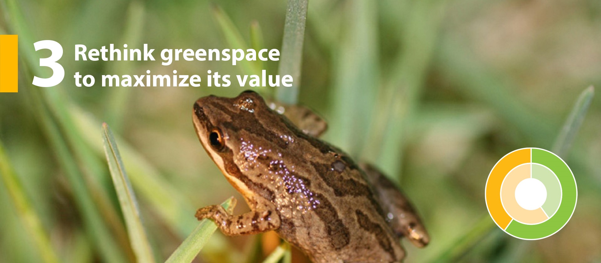 TRCA Strategic Goal 3 Rethink greenspace to maximize its value