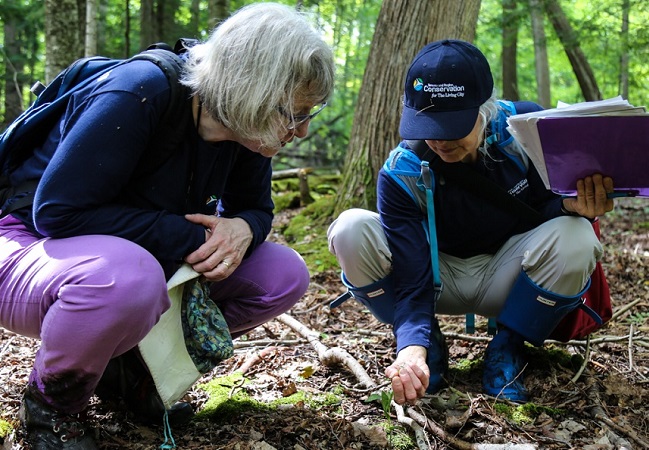 volunteers take part in TRCA citizen science program