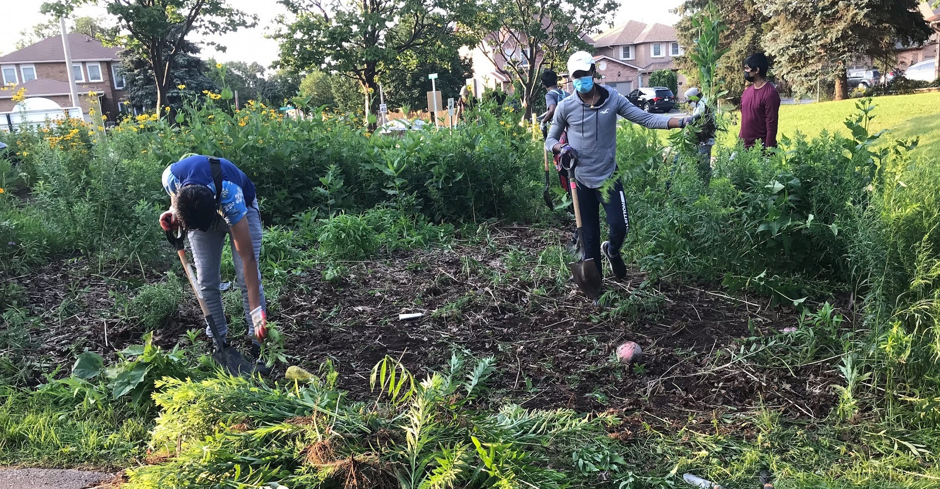 Conservation Youth Corps volunteers take part in invasive species removal event