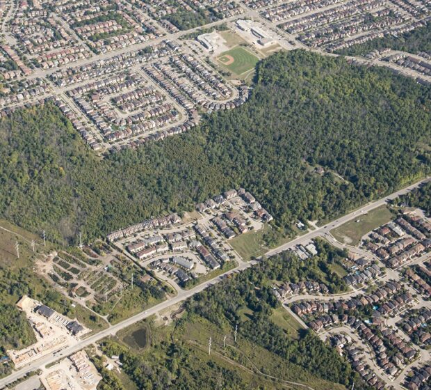 Canada Community Revitalization Fund Provides Support for Trail Upgrades at TRCA’s Altona Forest