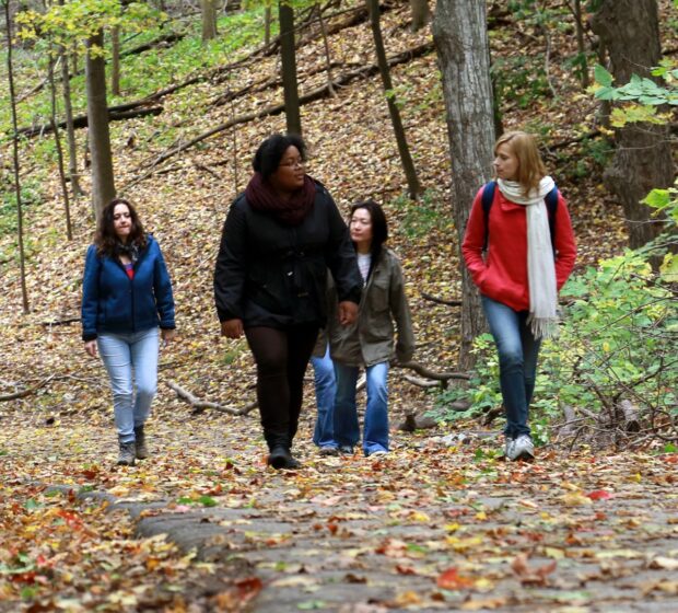 5 Best Ways to Relax, Unwind and Have Fun this Fall with TRCA Parks