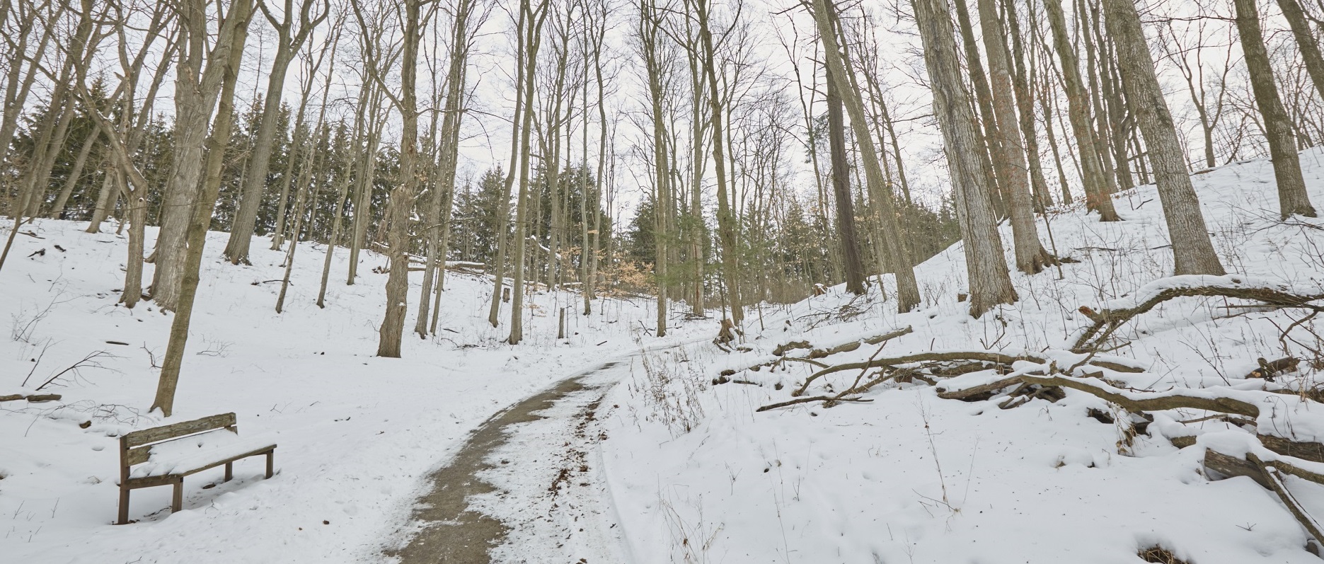 TRCA
