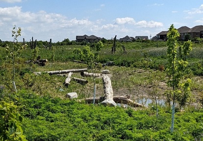 ecosystem compensation