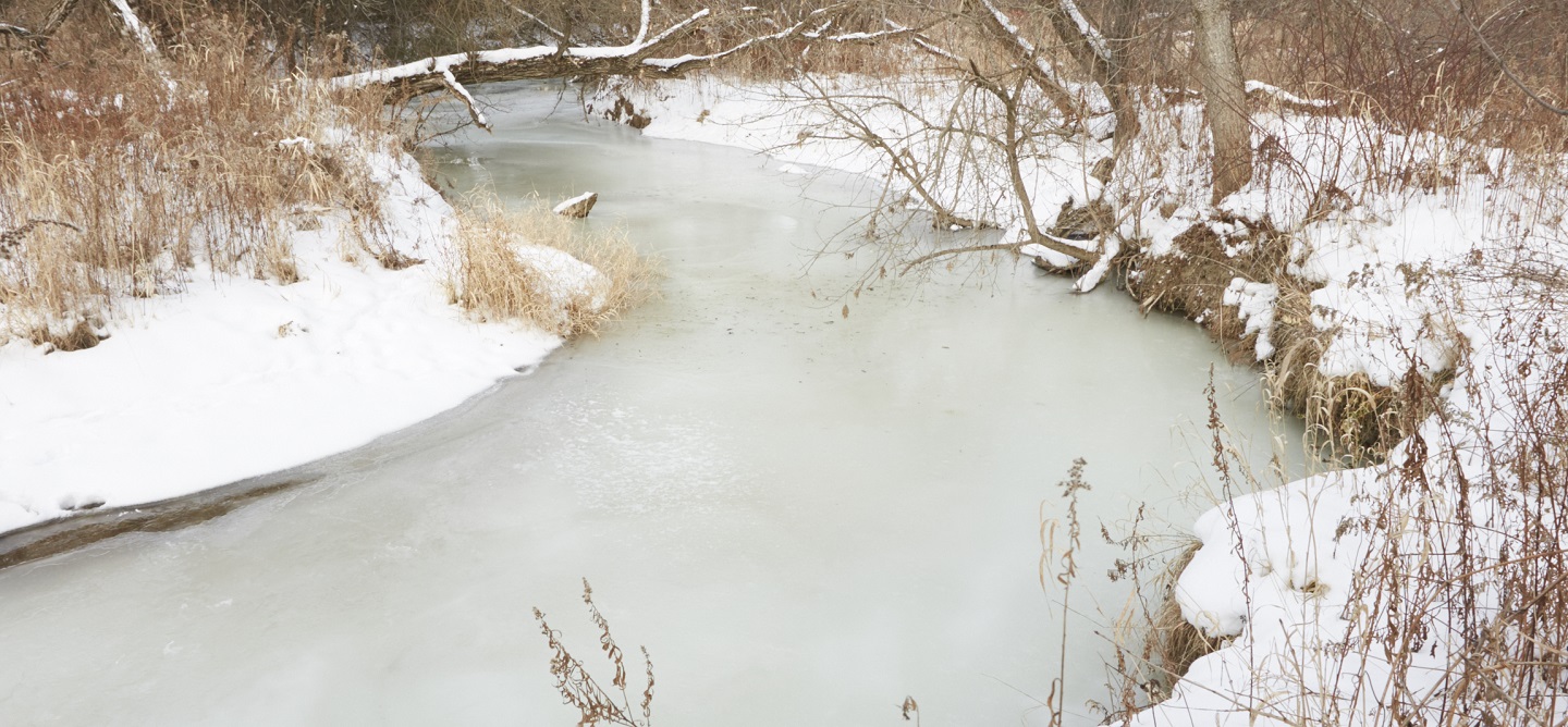 ice-covered stream at Kortright Centre for Conservation