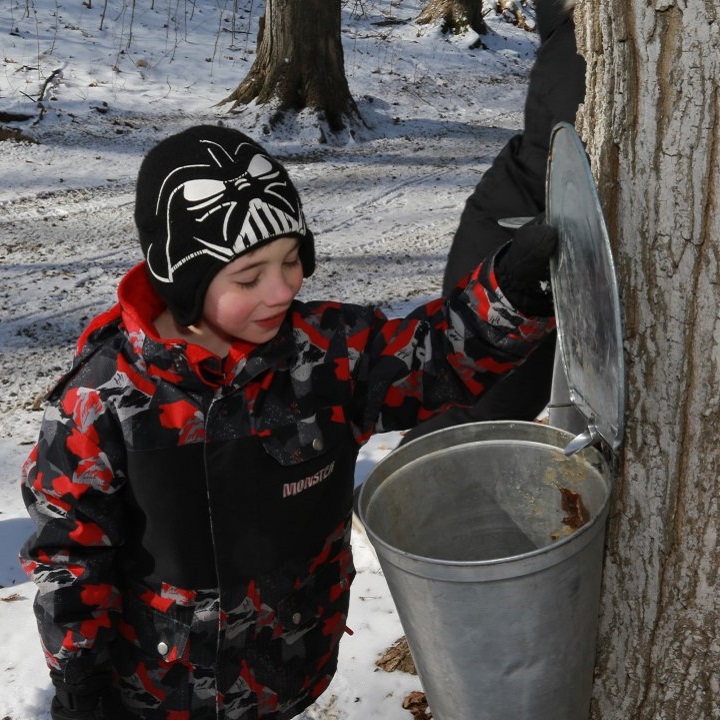 Maple Syrup Festival Toronto and Region Conservation Authority (TRCA)