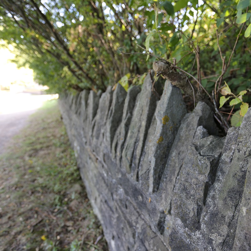 old stone wall alongside trail at Heart Lake Conservation Park