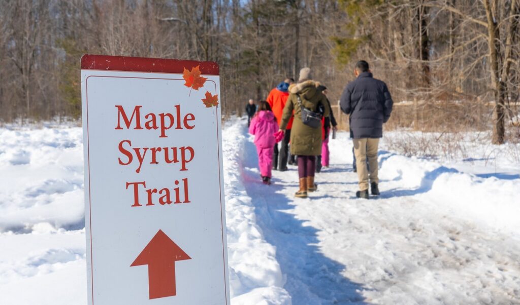 TRCA Celebrates a Successful Sugarbush Maple Syrup Festival Toronto