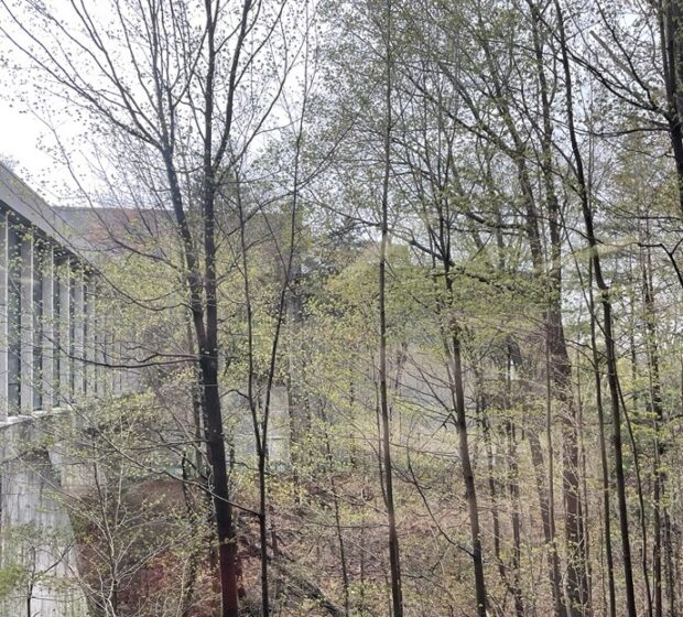 TRCA Responds to Ontario Science Centre Announcement