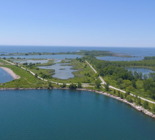 Tommy Thompson Park: Exploring the Creation of a Biodiversity Hotspot at IAGLR