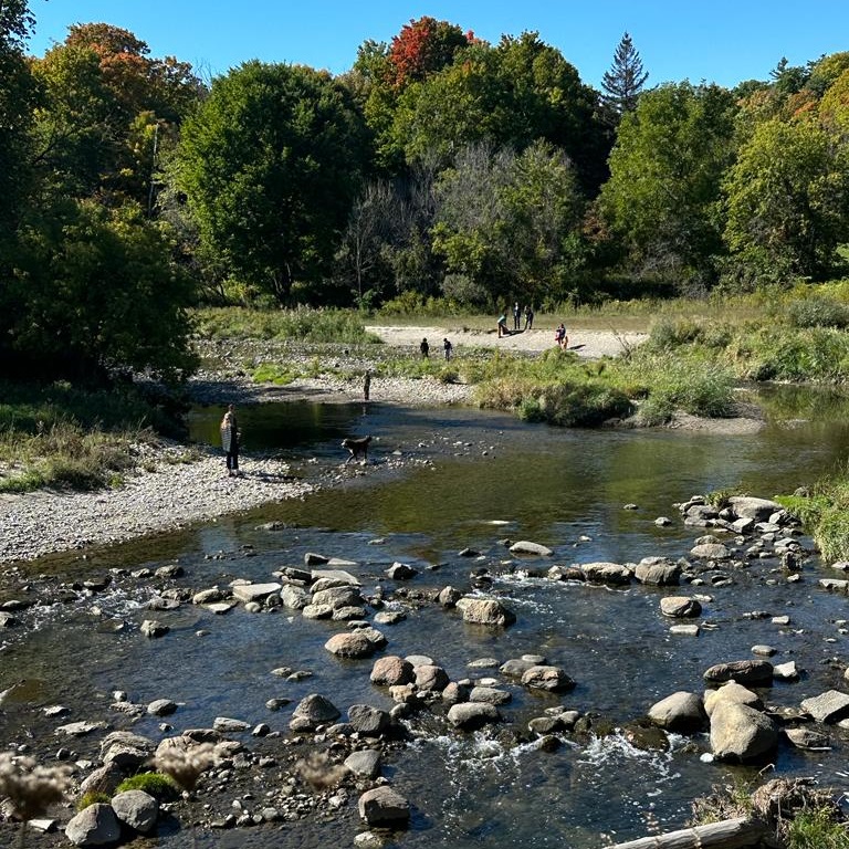 view of Highland Creek at Morningside Park in Scarborough