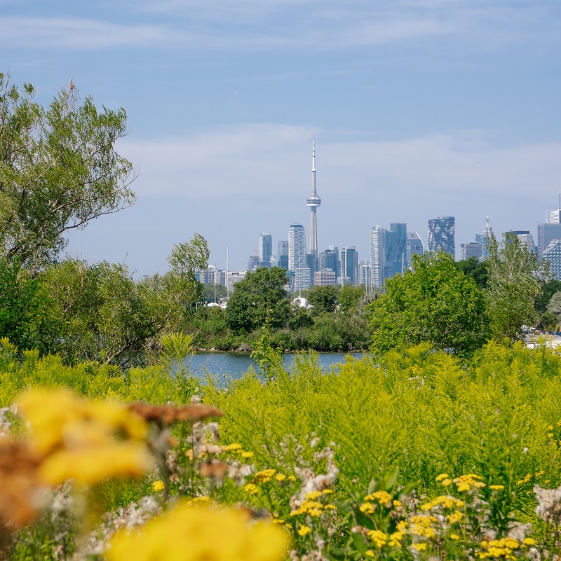 Toronto skyline viewed from Tommy Thompson Park