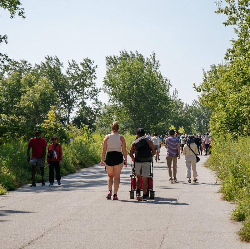 visitors to the TRCA Butterfly Festival explore the trails at Tommy Thompson Park