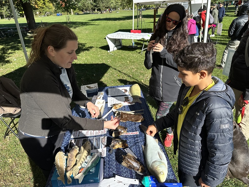 community members visit interactive booth at TRCA Adventures of Salmon event