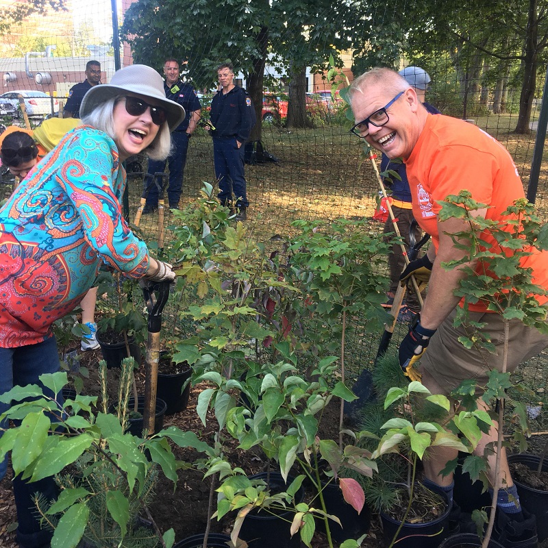 the Pocket tiny forest community planting event