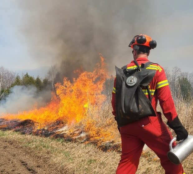 Nashville Meadow Prescribed Burn