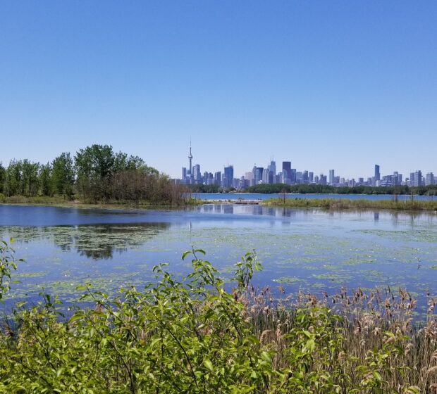 A History of Tommy Thompson Park
