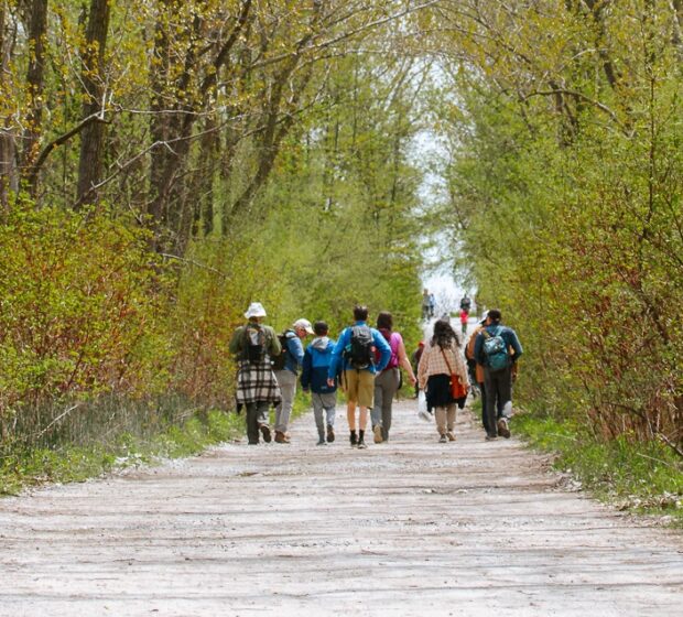 TRCA Spring Bird Festival: Witnessing the Magic of Migration