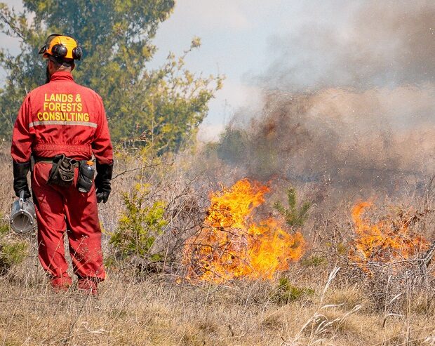 Albion Hills Prescribed Burn