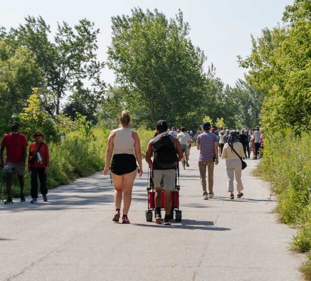 Close Out Your Summer with TRCA Workshops, Festivals, and More