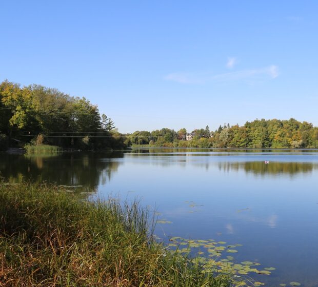 City of Brampton and TRCA Contribute to Canada’s 30×30 Conservation Target