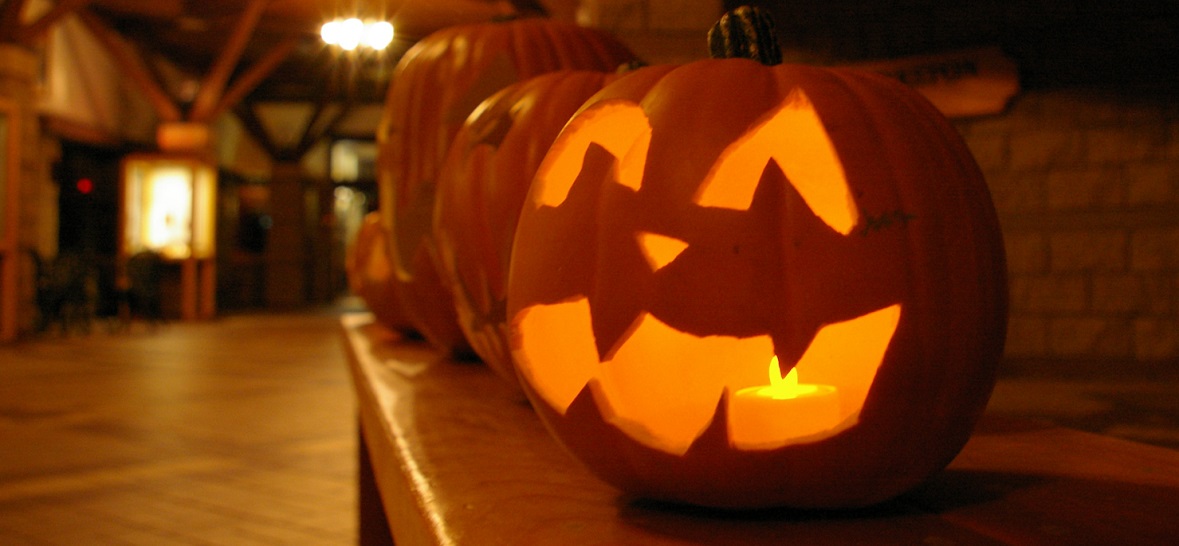 a Halloween jack o lantern at The Nature Centre at Bruces Mill
