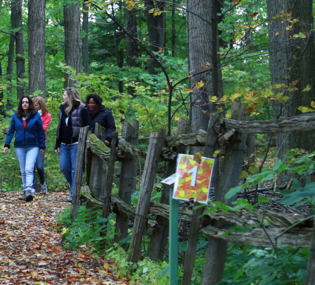 Celebrate Autumn with Exciting TRCA Events!