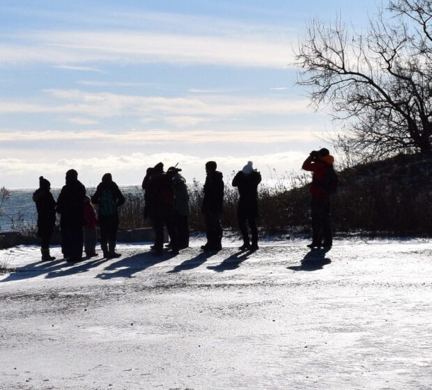 Kick Off the New Year with TRCA’s Family-Friendly Events and Workshops