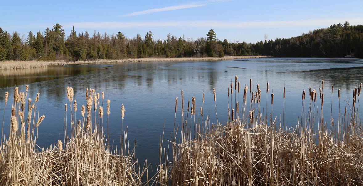 Palgrave Pond