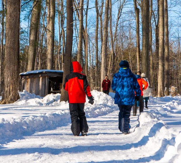 February and March Fun with TRCA