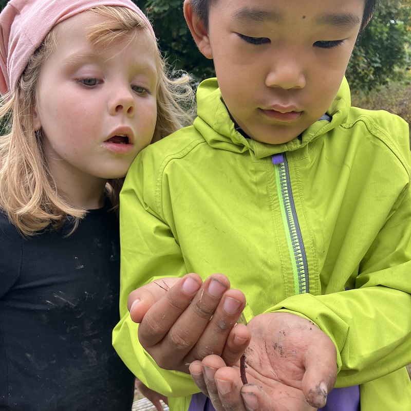 students discover a salamander in the woods at the Toronto Zoo Nature School