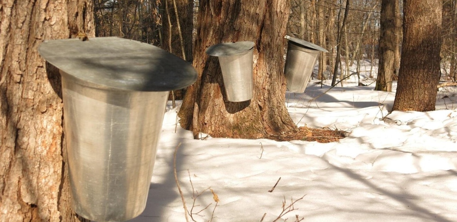 TRCA